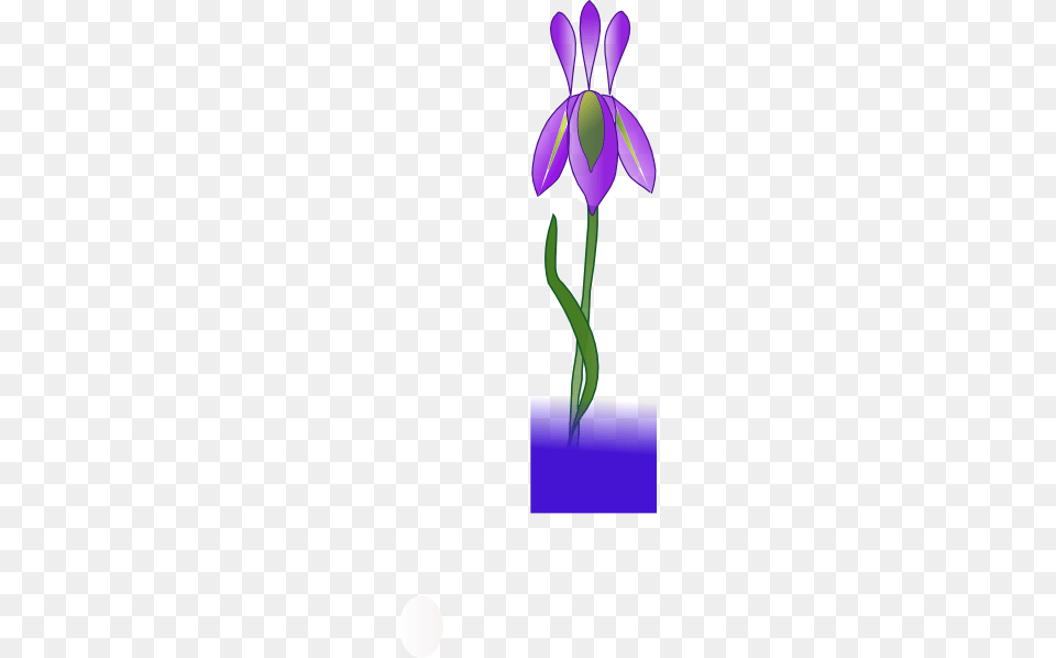 Iris Clip Art, Flower, Plant, Petal, Orchid Png Image