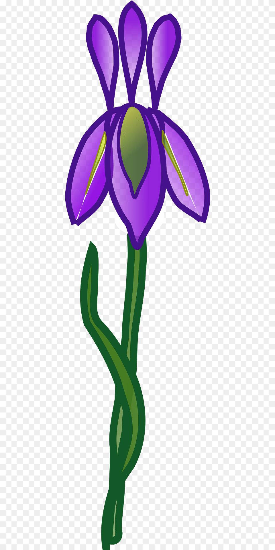Iris Clipart, Flower, Plant, Purple, Petal Free Transparent Png