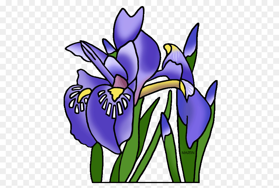 Iris Clipart Clip Art, Flower, Plant, Purple Png Image