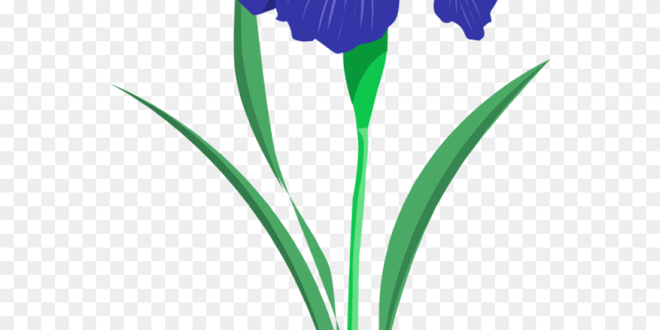 Iris Clipart Iris Flower Cartoon Iris Flower, Plant, Flax, Petal, Person Free Png Download