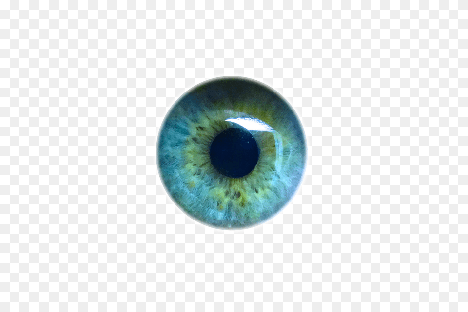 Iris Eyes Eye Light Pupil Human Human Eyes Transparent, Accessories, Gemstone, Jewelry, Astronomy Free Png Download
