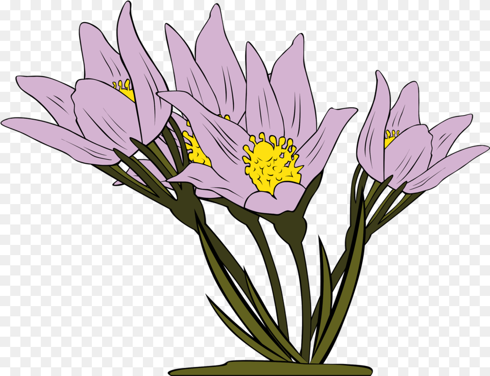 Iris Familyplantflower Clipart Royalty Svg Animated Flowers, Anther, Flower, Plant, Daisy Free Png Download