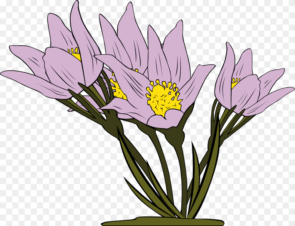 Iris Familyplantflower Flowers Clipart, Anther, Flower, Plant, Daisy Free Png