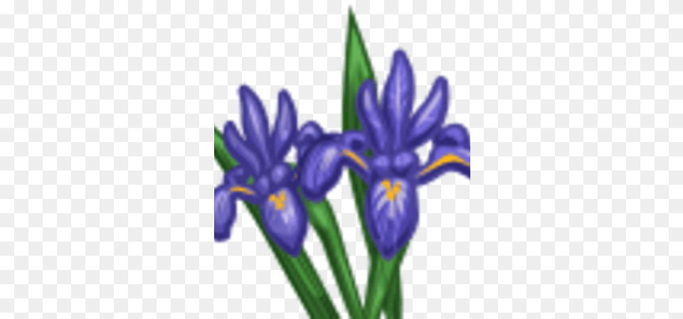 Iris Farmville Wiki Fandom Northern Blue Flag, Flower, Plant, Purple, Petal Free Png