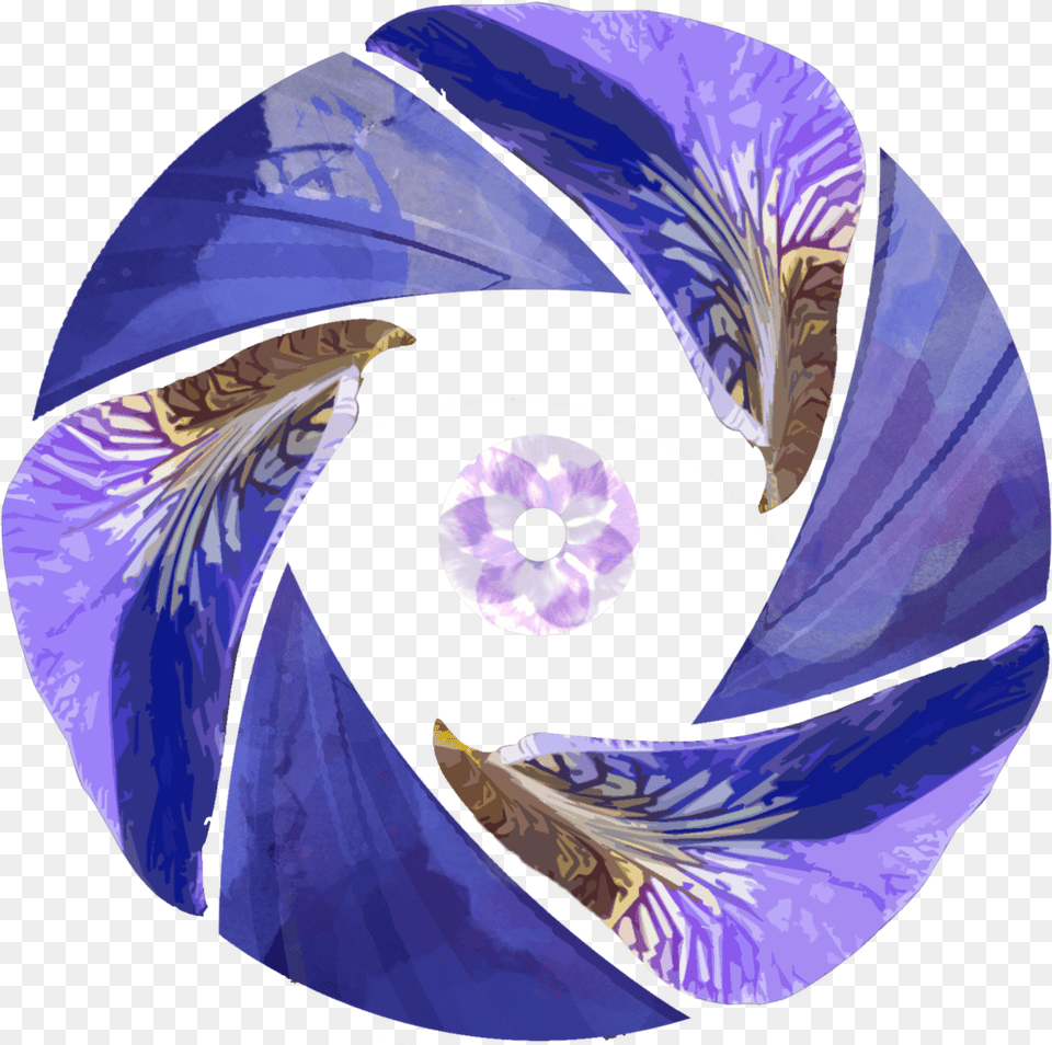 Iris Flower, Plant, Purple, Disk Png Image