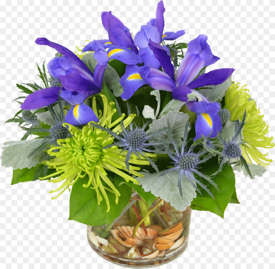 Iris Flower Arrangements Bouquet, Flower Arrangement, Flower Bouquet, Plant Free Png