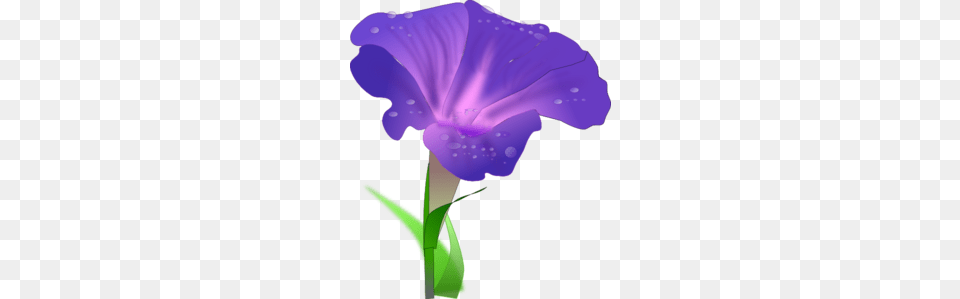 Iris Flower Clip Art Plant, Purple, Petal, Geranium Free Png Download