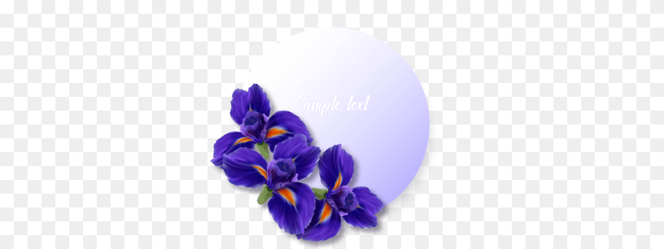 Iris Images Vectors And Download, Flower, Petal, Plant, Purple Free Transparent Png