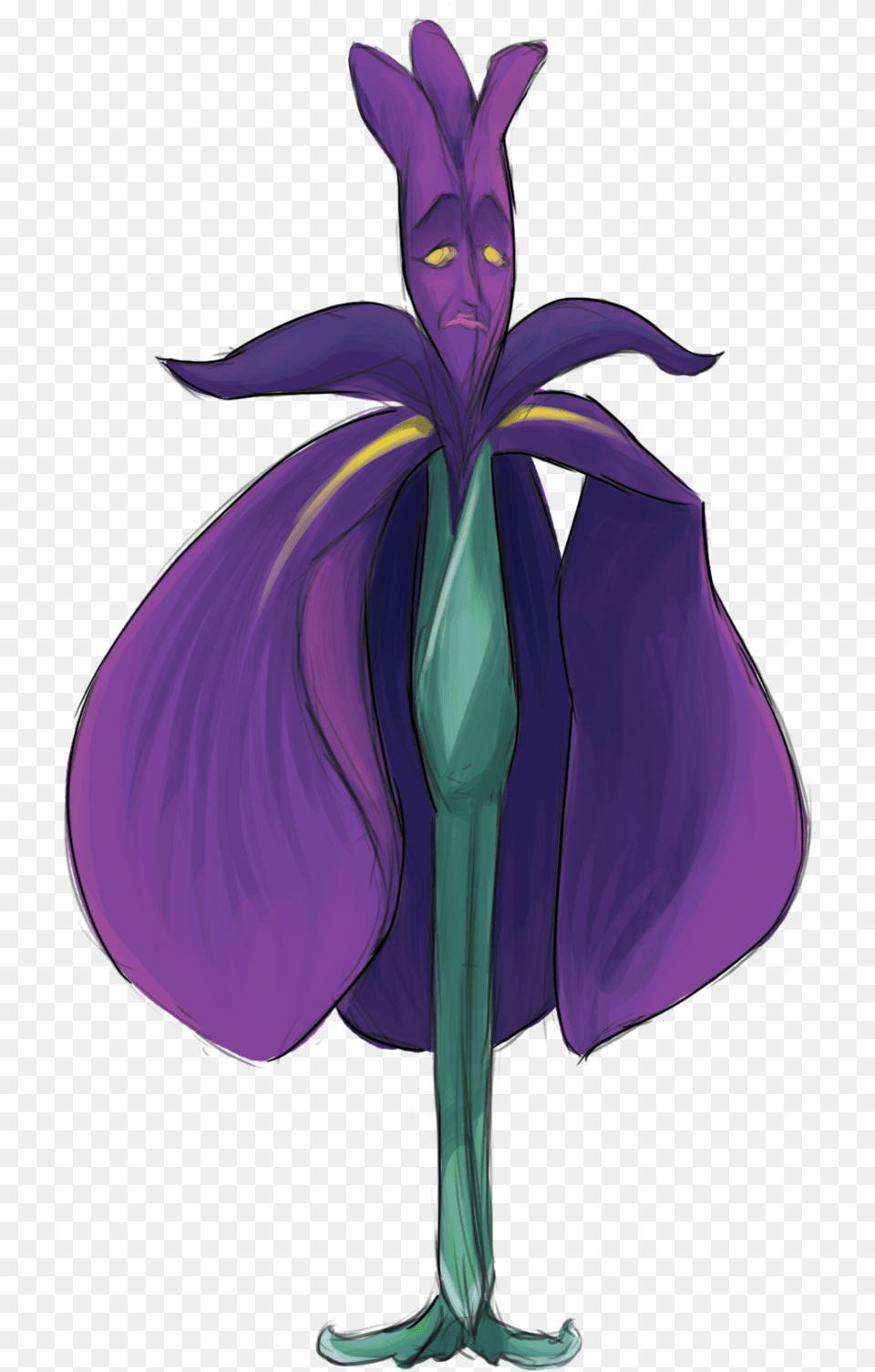 Iris Iris Versicolor, Purple, Plant, Flower, Adult Png