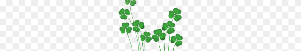 Irish Clip Art Free Shamrocks Irish Celtic Clover Art Celtic, Flower, Geranium, Plant, Leaf Png