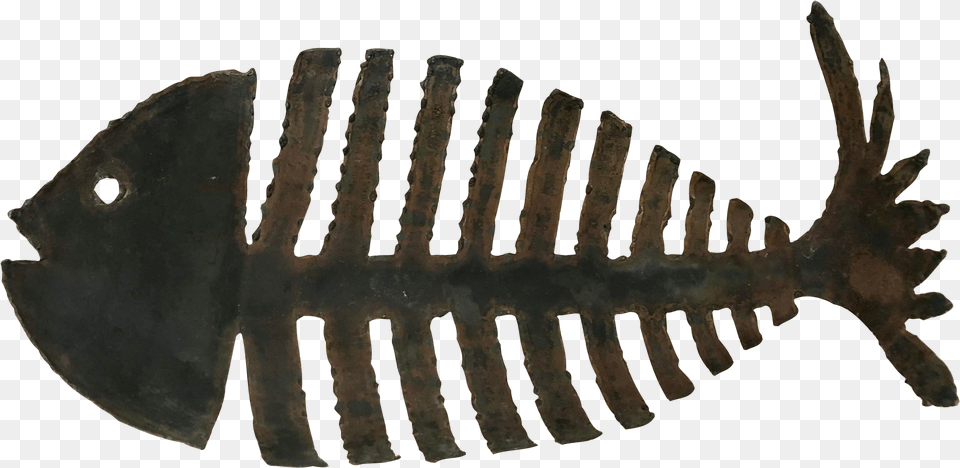 Iron Fish Skeleton Bowl Rib, Fossil Png Image