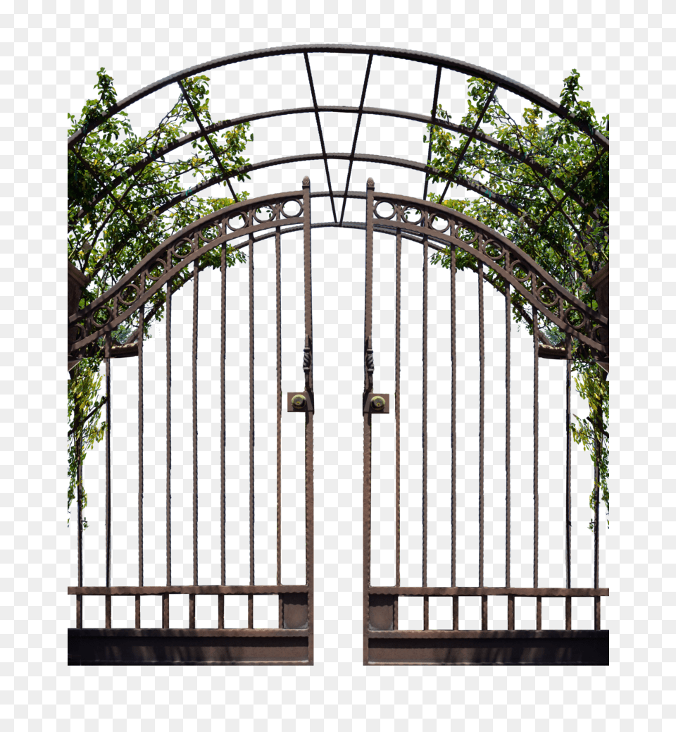 Iron Gate With Vines Stock Photo Png Image