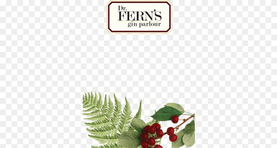 Is A Cool Speakeasy Gin Parlour Showcasing Premium Fern, Food, Fruit, Leaf, Plant Free Png Download