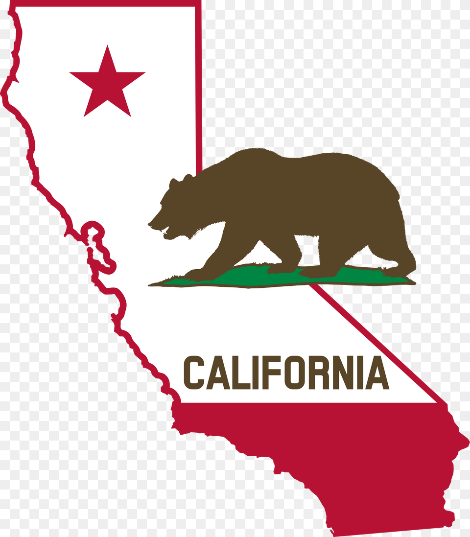 Is California Considered A Sanctuary State For Immigrants State Of California, Animal, Bear, Mammal, Wildlife Free Png