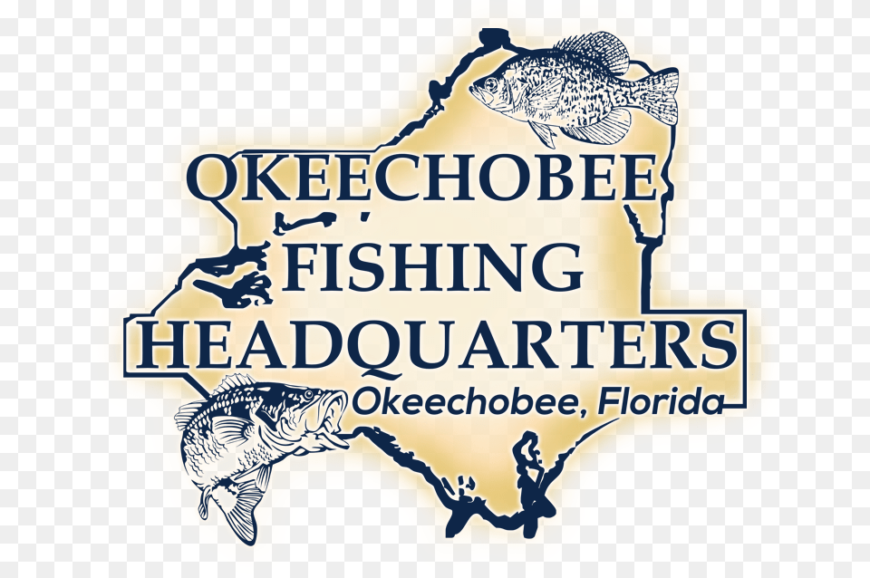 Is Not Available Okeechobee Fishing Headquarters, Animal, Fish, Sea Life, Advertisement Png