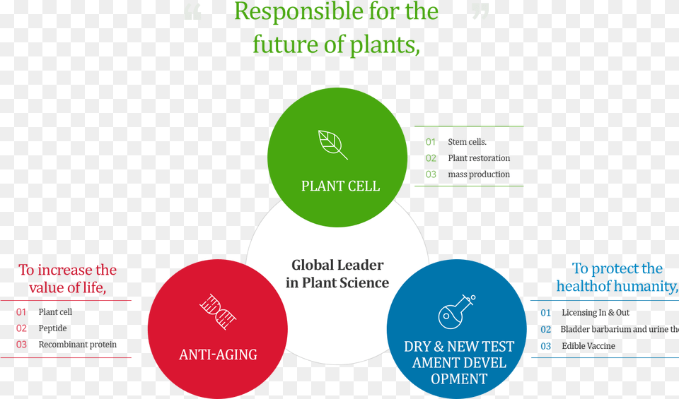 Is Responsible For The Future Of Plants From Plant Diagram Free Transparent Png