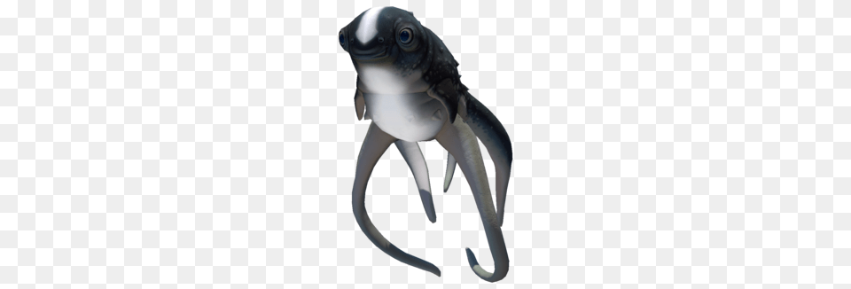 Is That The Cuddlefish From Subnautica, Electronics, Hardware, Animal, Amphibian Free Transparent Png