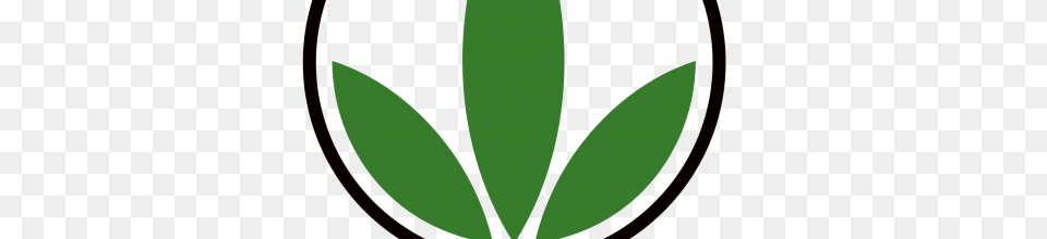 Is The Herbalife A Scam Still Worth Joining Or Not, Green, Herbal, Herbs, Leaf Png Image