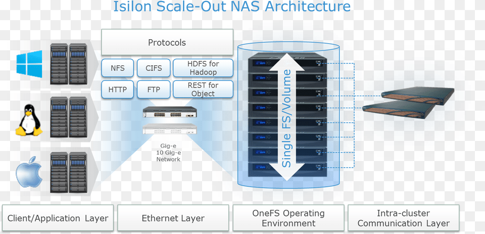 Isilon Architecture, Electronics, Hardware, Animal, Bird Free Png Download