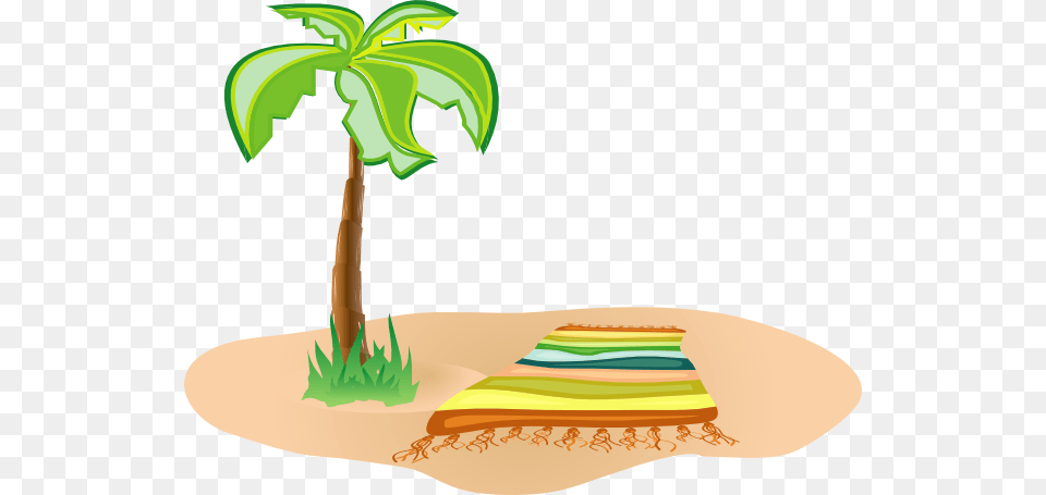 Isla Beach, Palm Tree, Plant, Summer, Tree Png