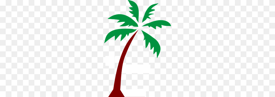 Island Palm Tree, Plant, Tree Free Png