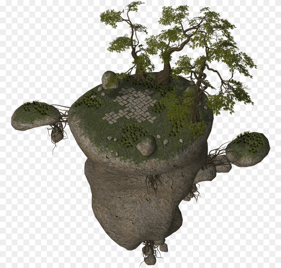 Island Island Flying Island Tree Stones Fantasy Nature Potted Plant, Plant, Bonsai, Adult Free Transparent Png