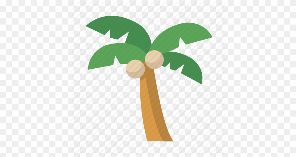 Island Palm Tree Vacation Icon, Palm Tree, Plant, Animal, Kangaroo Png