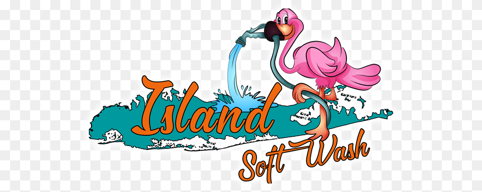 Island Soft Wash, Animal, Bird, Flamingo Free Transparent Png