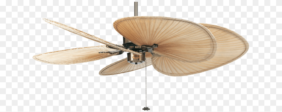Islander Fanimation Natural Palm Fan Plantation Ceiling Fan, Appliance, Ceiling Fan, Device, Electrical Device Free Transparent Png