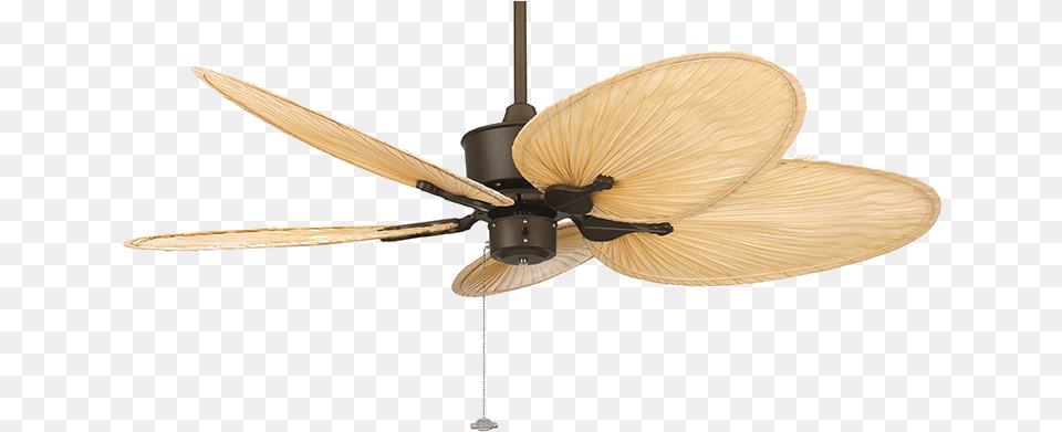 Islander Fanimation Palm Blade Fan Modern Ceiling Fan South Africa, Appliance, Ceiling Fan, Device, Electrical Device Free Transparent Png
