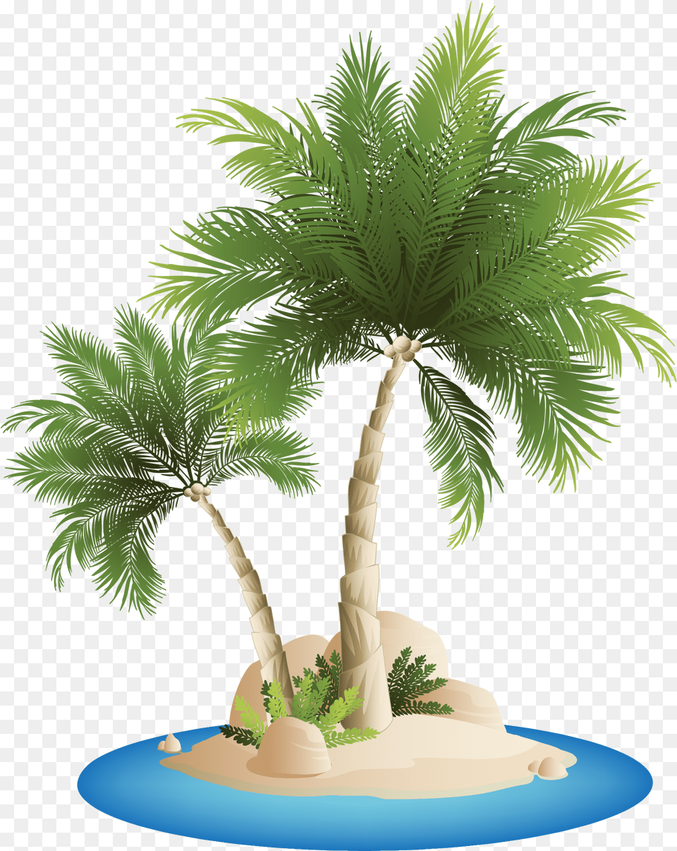 Islands Beach Clip Art Beach Coconut Tree, Palm Tree, Plant, Vegetation, Cake Free Png