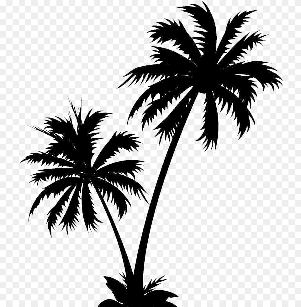 Isle Manage Specializes In White Palm Tree Vector Palm Tree, Palm Tree, Plant, Silhouette, Outdoors Free Png Download
