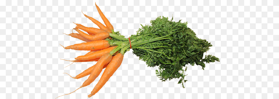 Isolated Carrot, Food, Plant, Produce Free Transparent Png