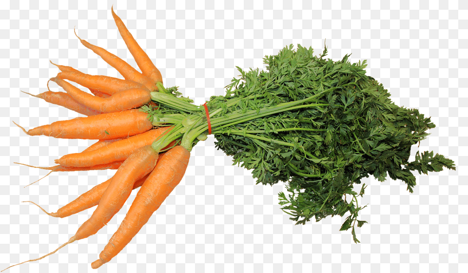 Isolated Carrot, Food, Plant, Produce Png Image