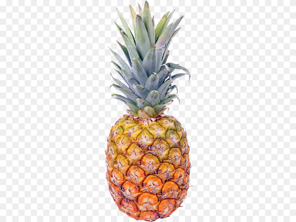 Isolated Food, Fruit, Pineapple, Plant Free Png