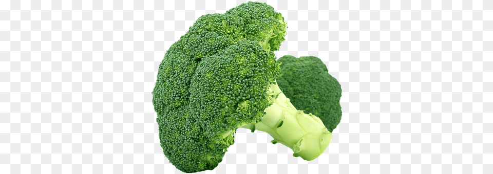 Isolated Broccoli, Food, Plant, Produce Free Png Download