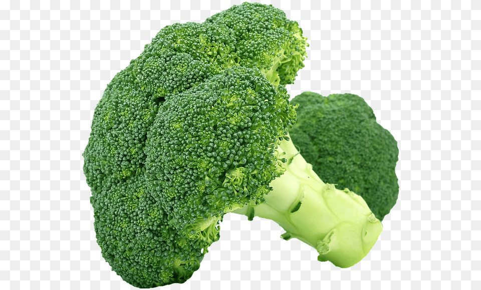 Isolated Broccoli, Food, Plant, Produce Free Transparent Png