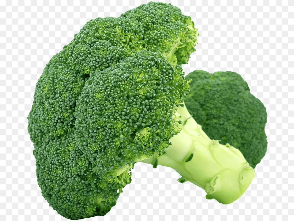 Isolated Broccoli, Food, Plant, Produce Free Png Download