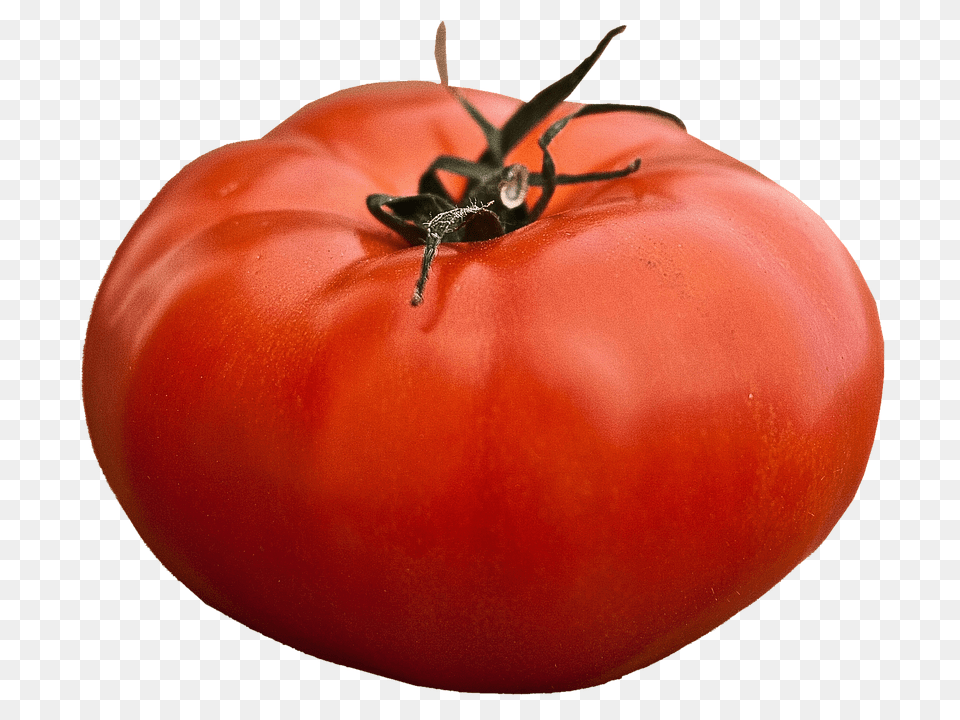 Isolated Food, Plant, Produce, Tomato Png