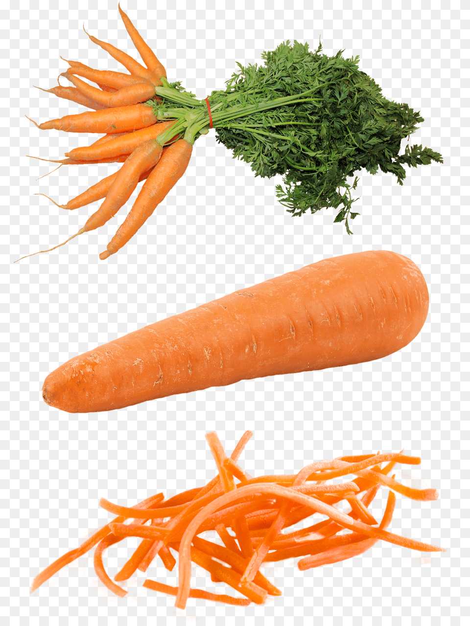 Isolated Carrot, Food, Plant, Produce Free Transparent Png