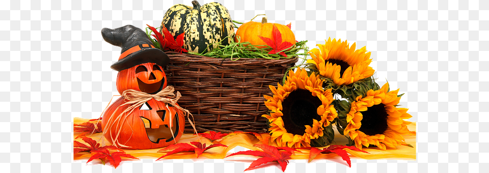 Isolated Flower, Vegetable, Pumpkin, Produce Free Png Download