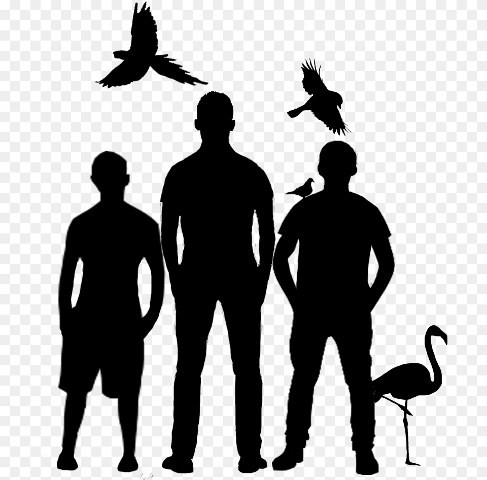 Isolated Birds, Silhouette, Adult, Male, Man Free Png