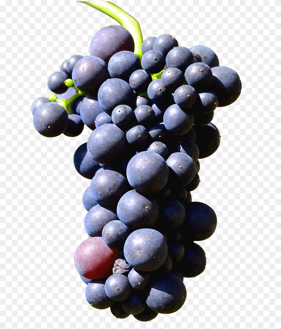 Isolated Grapes Henkel Grape Grape, Produce, Plant, Fruit, Food Png Image