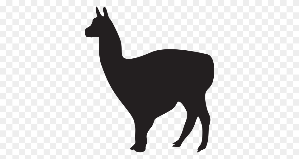Isolated Llama Animal, Mammal, Canine, Dog, Pet Png Image