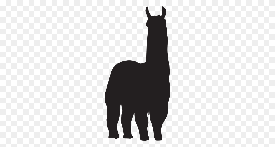 Isolated Llama Standing Silhouette, Animal, Mammal, Horse, Head Png