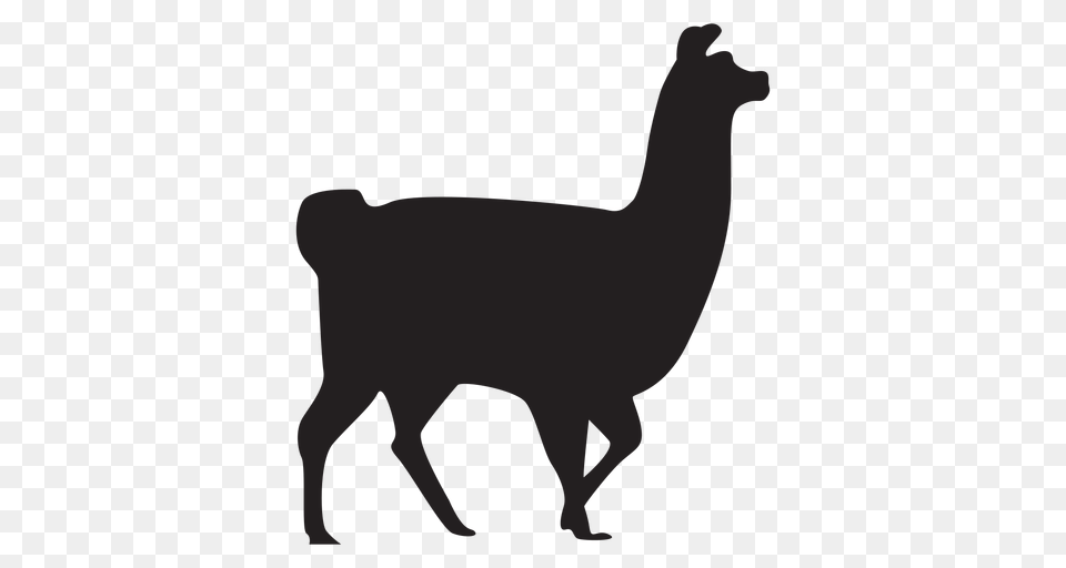 Isolated Llama Walking Silhouette, Animal, Mammal, Bear, Wildlife Png Image