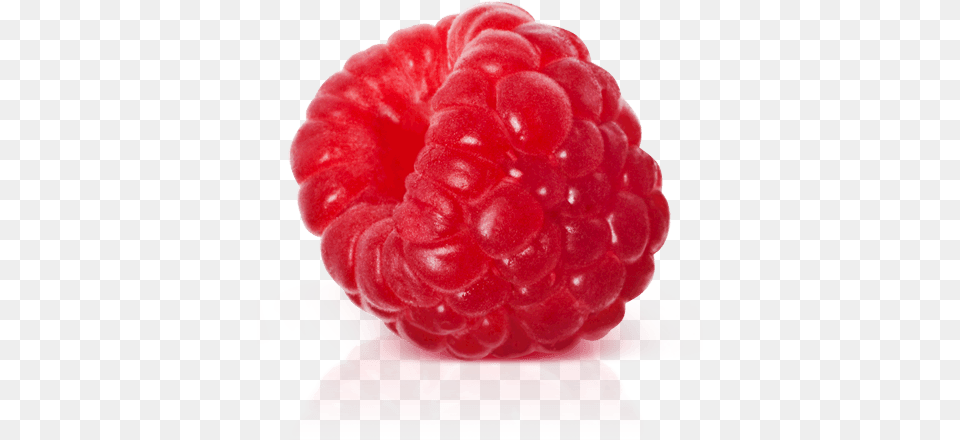 Isolated Raspberry, Berry, Food, Fruit, Plant Free Transparent Png
