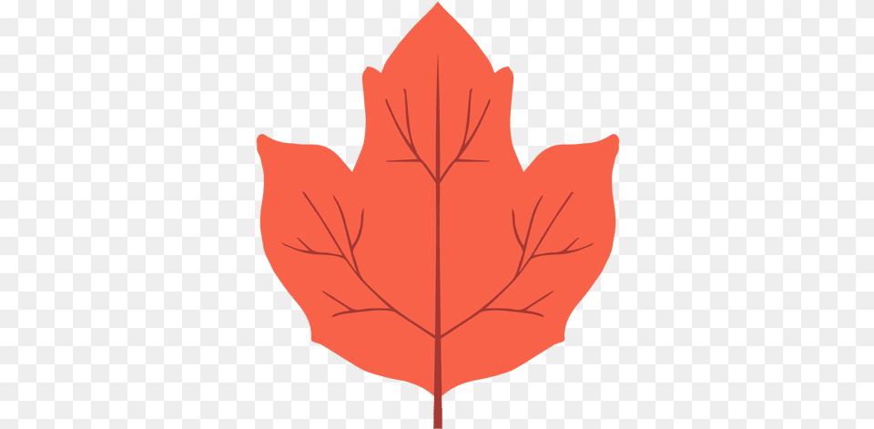 Isolated Red Autumn Leaf Transparent U0026 Svg Vector File Lovely, Maple Leaf, Plant, Tree, Baby Free Png Download