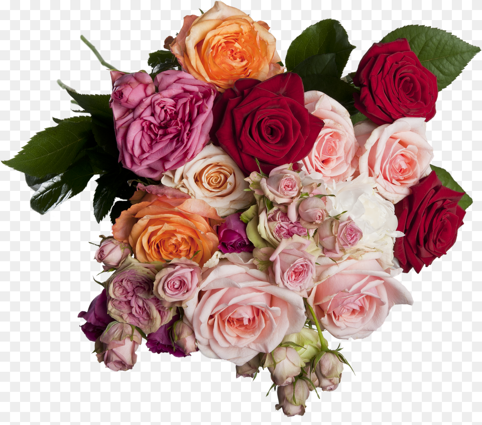 Isolated Roses Bouquet Multi Coloured Romantic, Flower, Flower Arrangement, Flower Bouquet, Plant Free Png Download