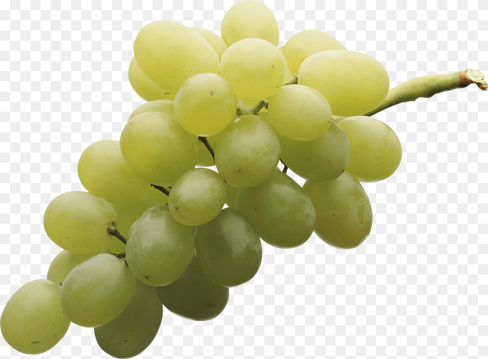 Isolated White Grape, Food, Fruit, Grapes, Plant Free Png Download